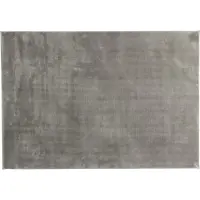 Venture Home Matto Blanca Polyesteri, 290x200 cm, vaaleanharmaa