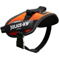 Julius-K9 Idc Power Mini Koiran Valjaat