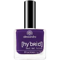 Alessandro Hybrid Kynsilakka 8 ml Blackberry