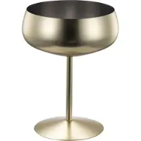 Modern House - Sontell Gold Samppanjalasi 45 cl Teräs/Kulta