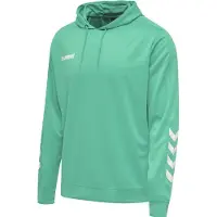 Hummel Hupparit Huel PROO POLY HOODIE 208317-6507