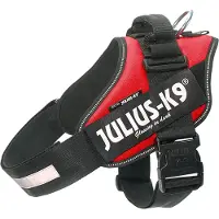 JULIUS K-9 Idc Koiran Valjaat