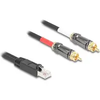 DeLOCK 88171, RJ-45, Uros, 2 x RCA, Uros, 2 m, Musta