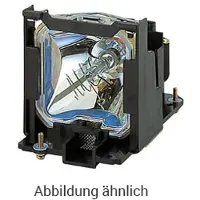 BenQ TP4940 (Lamp 1) alkuperäinen lamppu moduulilla