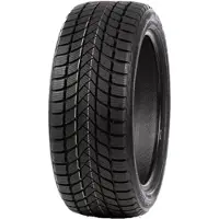 Delinte WD6 225/55R17 97 H