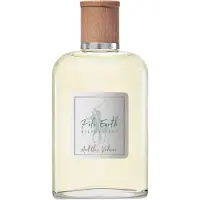 Ralph Lauren Polo Earth Antilles Vetiver 100 ml