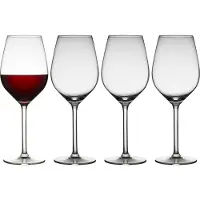 Selsey Juvel punaviinilasi 50 cl 4-pakkaus Kirkas