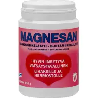 Kärkkäinen Magnesan Magnesium + B-vitamiini ravintolisä