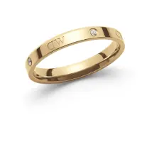 Daniel Wellington DW Classic Lumine Ring 48 Gold