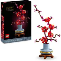 LEGO Icons 10369 Luumunkukka