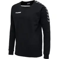 Hummel Authentic Training Collegepaita