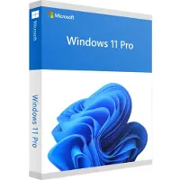 Microsoft Windows 11 Pro (64bit OEM)
