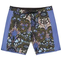 Picture Organic Clothing Andy 17 Printed Brds - Multi/patterned - 30
