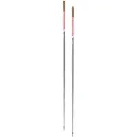 Swix Roadline 1 Pole Black/Red NoColor 1500