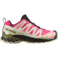 Salomon xa pro 3d v9 gtx w