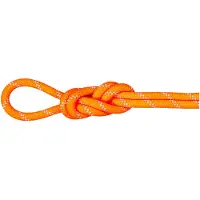 Mammut Alpine 9.5 Mm Köysi