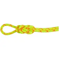 Mammut Alpine Core Protect 9.5 Mm Köysi