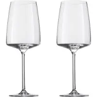 Zwiesel Glas Vivid Senses Fruity & Delicate- viinilasi, 2 kpl