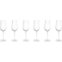 Georg Jensen Sky samppanjalasi 25 cl 6-pakkaus Kirkas
