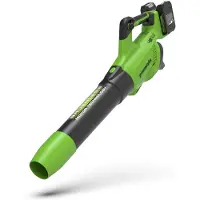 Greenworks Akku lehtipuhallin GD24X2AB; 48 V (ilman akkua ja laturia)