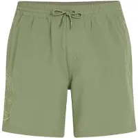O'Neill O'Riginals Cali Ocean 16'' Surffishortsit avery fern Koko L