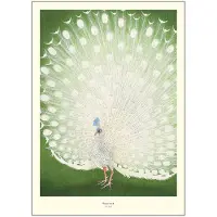 Poster & Frame - A.P. Atelier Juliste 50x70 cm Peacock