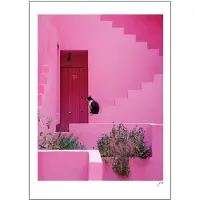 Poster & Frame - FLIP Juliste 50x70 cm Pink panther