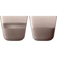LSA International - Arc Juomalasi 26 cl 2 kpl Contrast Earth