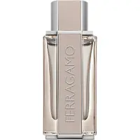 Salvatore Ferragamo Bright Leather Men, EdT 100ml