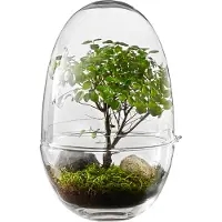 Design House Stockholm Grow minikasvihuone, L