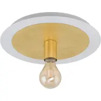 Eglo 97491 - LED-kattovalaisin PASSANO 1xE27/4W/230V