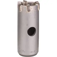 Bosch Accesorios SDS-plus-9 Kerneskærer Hammerbor