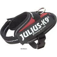 JULIUS K-9 Idc Power Baby Koiran Valjaat