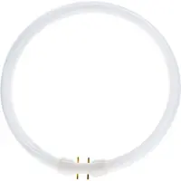 Philips MASTER TL - E 32W - 840 Kylmä Valkoinen | 30cm | Himmennettävä