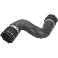 THERMOTEC Jäähdyttimen letku DWB121TT oikea