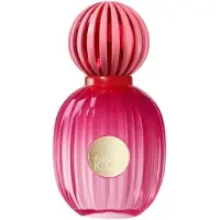 Antonio Banderas The Icon Pour Femme Edp 100ml