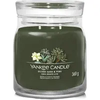Yankee candle Silver Sage & Pine tuoksukynttilä Signature 567 g