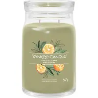 Yankee candle Sage & Citrus tuoksukynttilä Signature 567 g