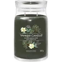 Yankee candle Silver Sage & Pine tuoksukynttilä Signature 368 g