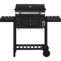 Mustang Hiiligrilli Avalon 3,
