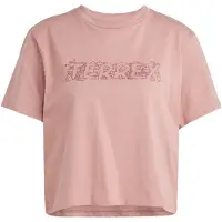 Adidas Terrex Graphic Lyhythihainen T-paita