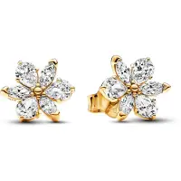 Pandora Herbarium Cluster 14K Gold-Plated Stud Earrings With Clear Cubic Zirconia - Gold - ONE SIZE