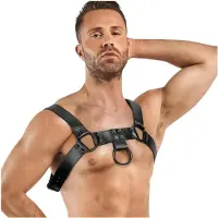 Bedroom Fantasies Bruno Bondage Harness