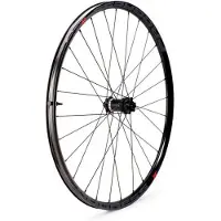 Progress Evo 29´´ Disc Maastopyörän Etupyörä