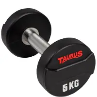 Taurus CPU -käsipaino 42,5 kg