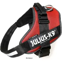 JULIUS K-9 Idc Power Koiran Valjaat