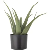 Bloomingville BloomingvilleAloe KasviVihreäTekokasvit- Homeroom