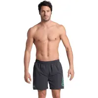 Arena Surffishortsit 'Fundamentals Logo Boxer' tummanharmaa / jade