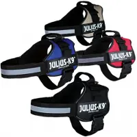 Julius-K9 Power Koiran Valjaat