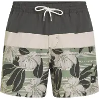 O'Neill Cali Block 15'' Surffishortsit green dusty flower Koko XS